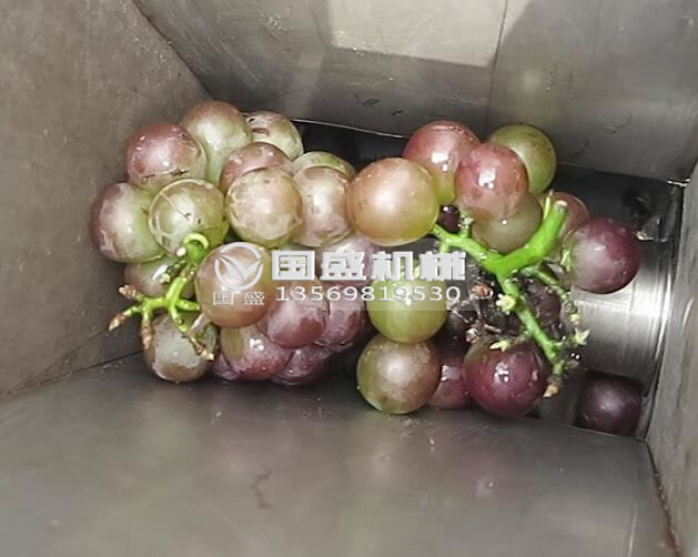 葡萄釀酒設備 葡萄釀酒設備