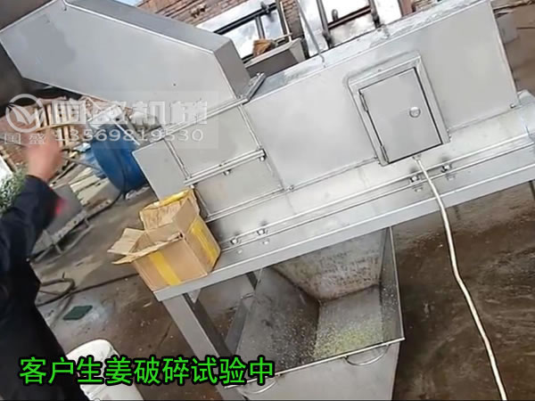 生姜破碎機 生姜破碎機