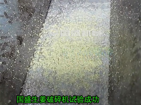 粉碎姜的機器 粉碎姜的機器