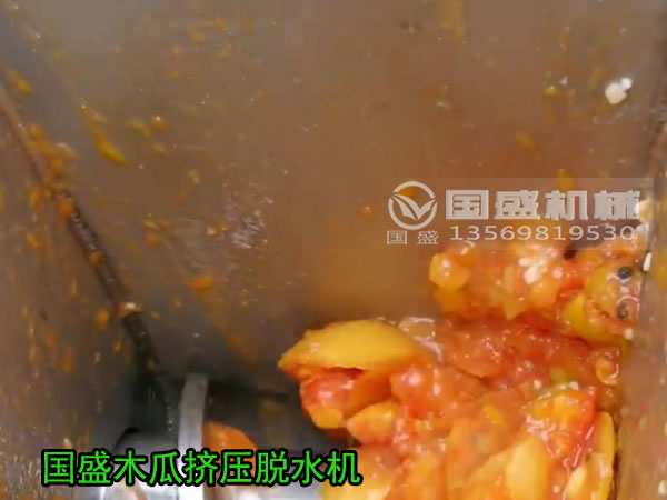 木瓜壓榨機(jī) 木瓜壓榨機(jī)
